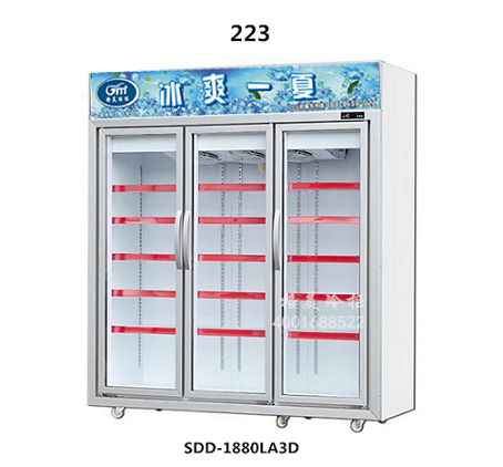 223立式冷凍展示柜